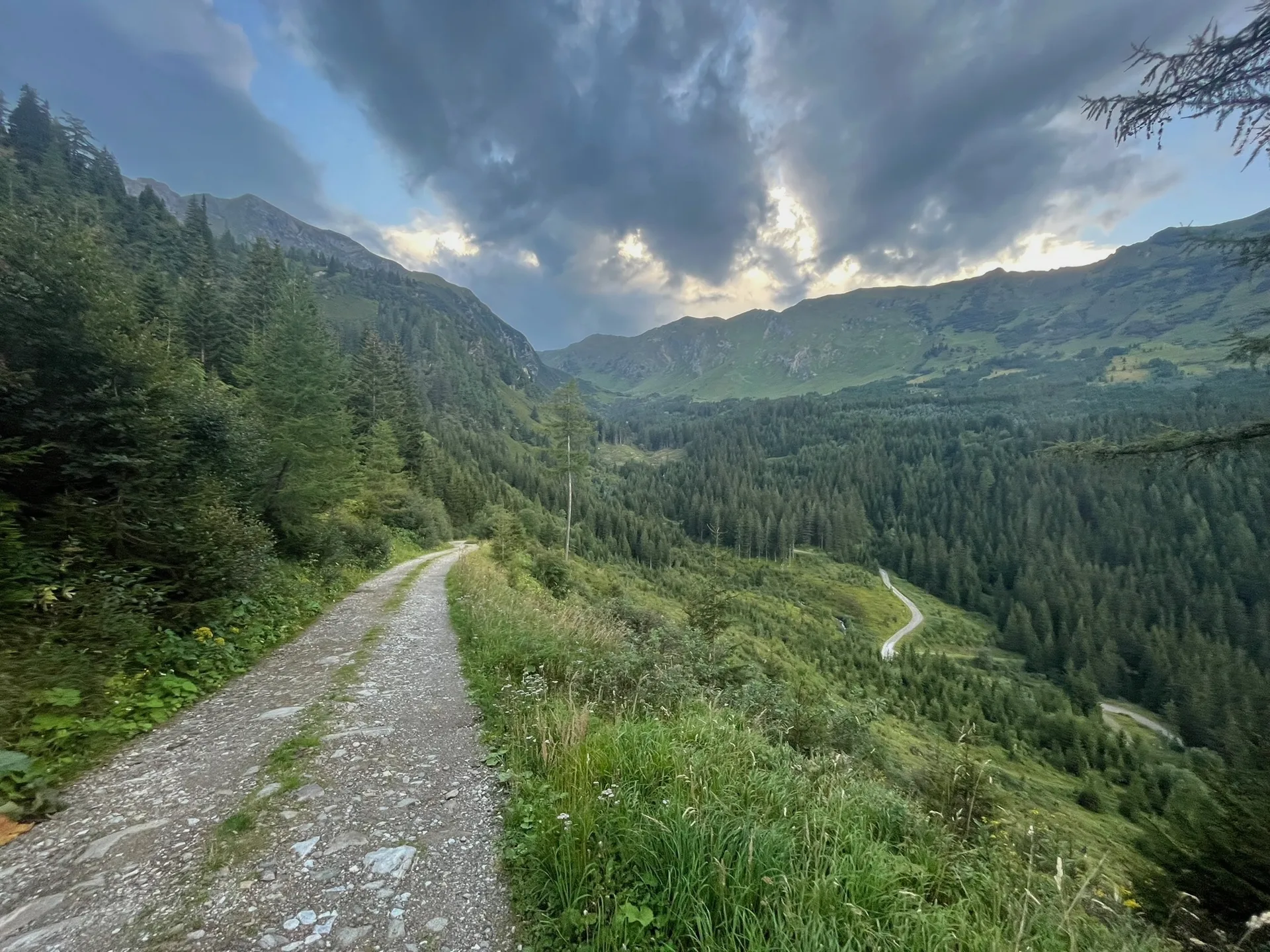 Die Wanderung auf den Hohenwart führt von Beginn an durch unberührte Natur mit vielen kleinen Bächen.