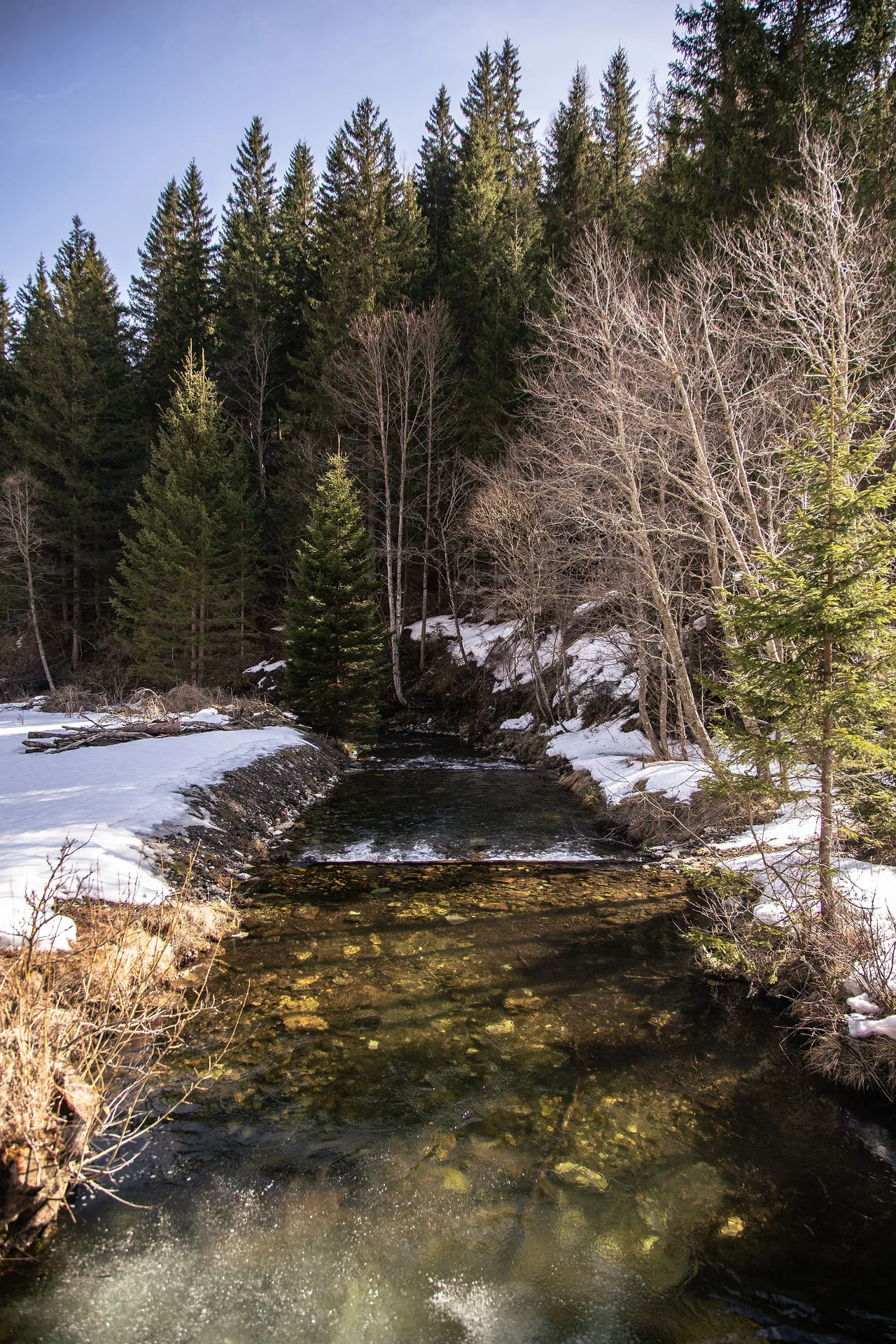 Der kleine Bach lädt zum Verweilen, Abschalten und zum Spielen für Kinder ein.