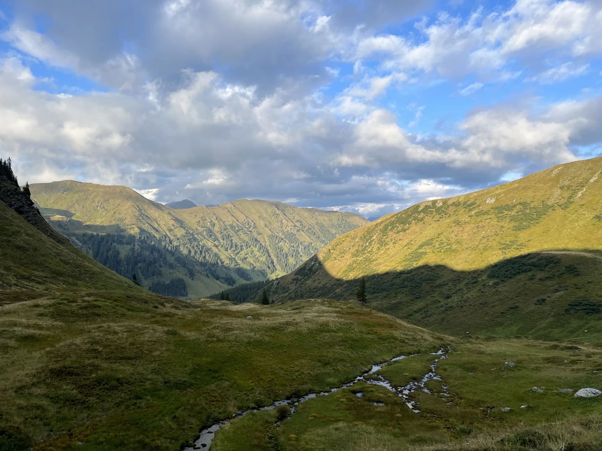 Die Wanderung auf den Hohenwart führt von Beginn an durch unberührte Natur mit vielen kleinen Bächen.